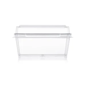 N-60 premium transparent rectangle dessert container with clear lid